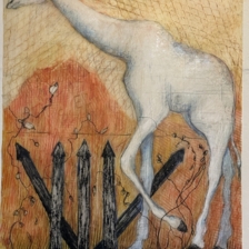 The Last White Giraffe-Endangered, 30"x22",Prismacolor, Caran dAche Aquarelle